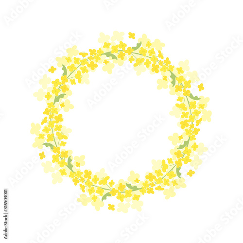 Vector canola flowers wreath frame illustration on white