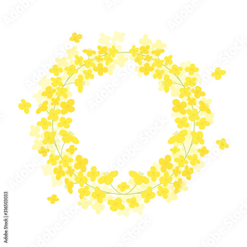 Vector canola flowers wreath frame illustration on white