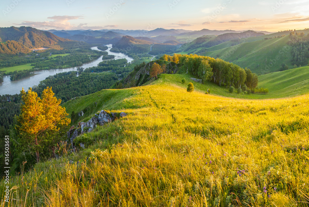 Obraz premium Tourism in Altay, Russia. View of the valley and the Katun River from the mountain. Spring panoramic view. Green forests and meadows and a beautiful sky.
