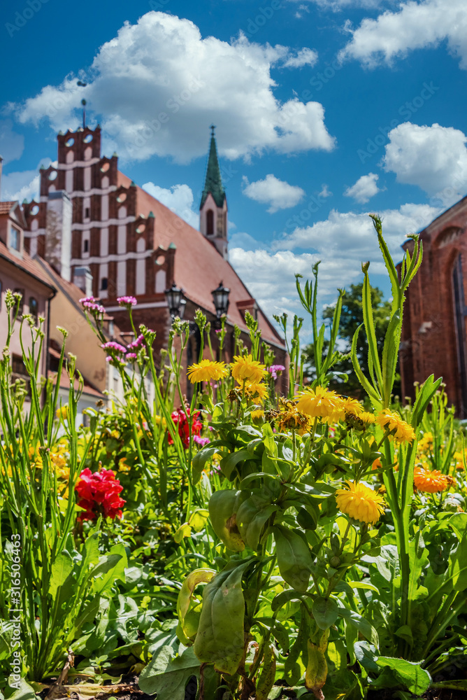 Flowers in the City Center of the Riga Latvia Old Town