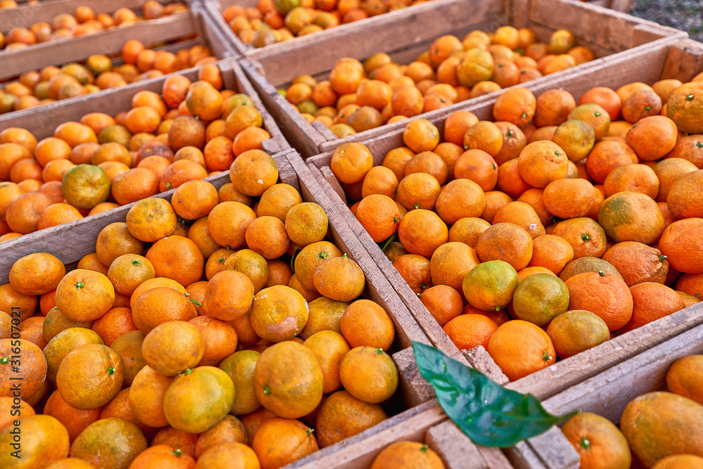Lush orange ripe organic tangerines in a wooden boxes