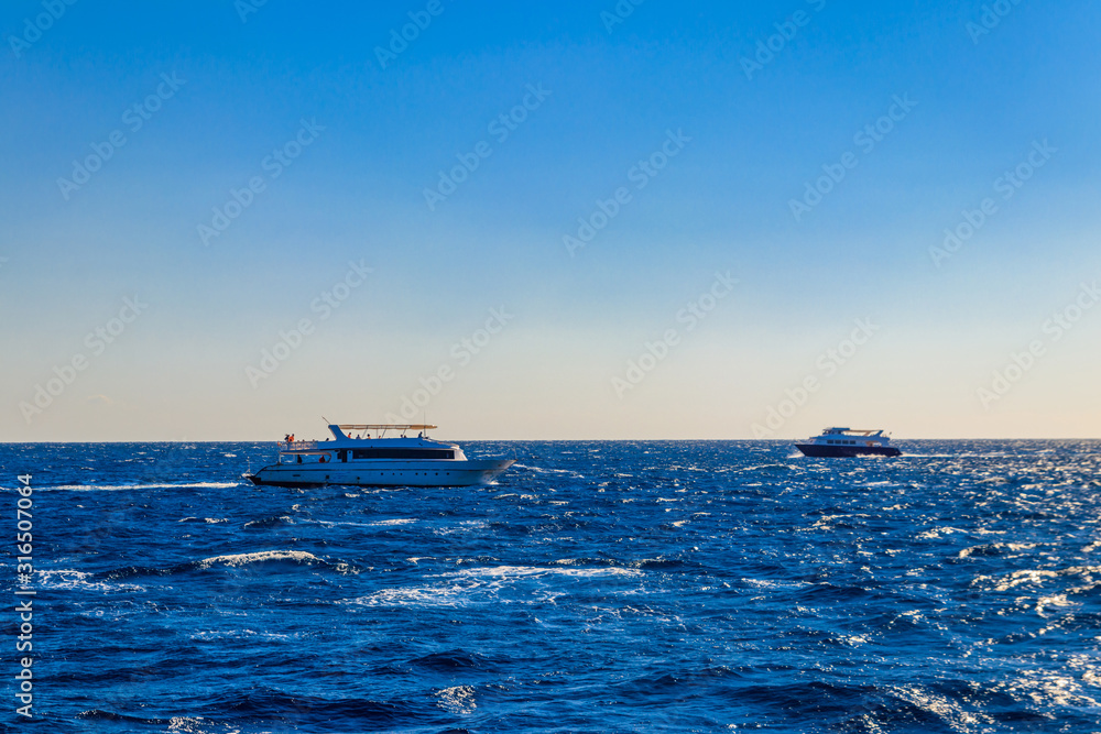 Fototapeta premium White yachts sailing in Red sea, Egypt