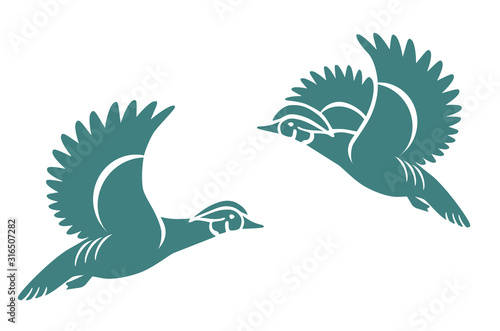 Wood Duck or Carolina duck Vector Illustration, Bird Vector
