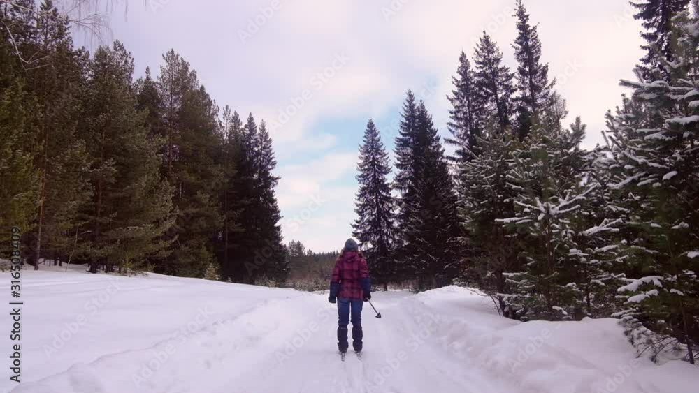Cross-country skiing: young woman cross-country skiing Cross-country skiing: young woman cross-country skiing