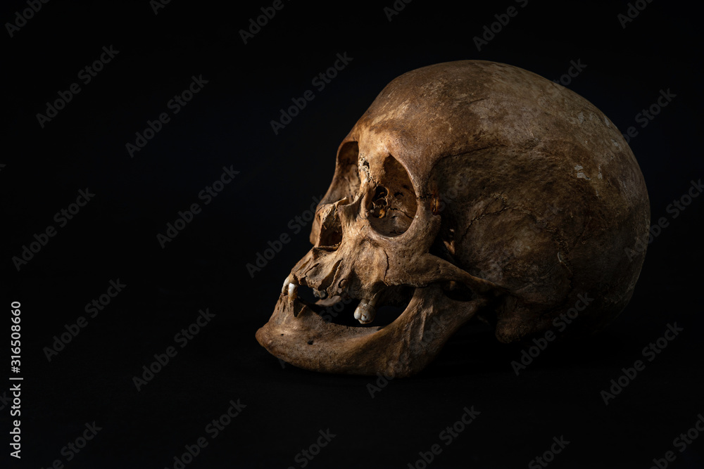 Obraz premium Schädel Skull Schwarz