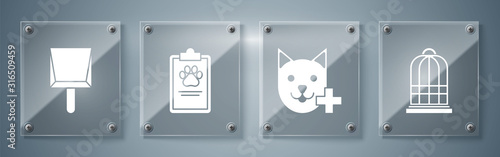 Set Cage for birds, Veterinary clinic symbol, Clipboard with medical clinical record pet and Dustpan. Square glass panels. Vector
