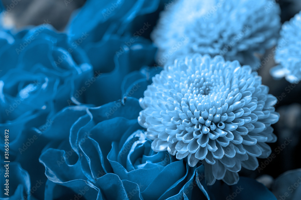 Bouquet of roses and chrysanthemums close up. Beautiful blue flower background. Floral backdrop. Bouquet of roses and chrysanthemums close up. Beautiful blue flower background. Floral backdrop.