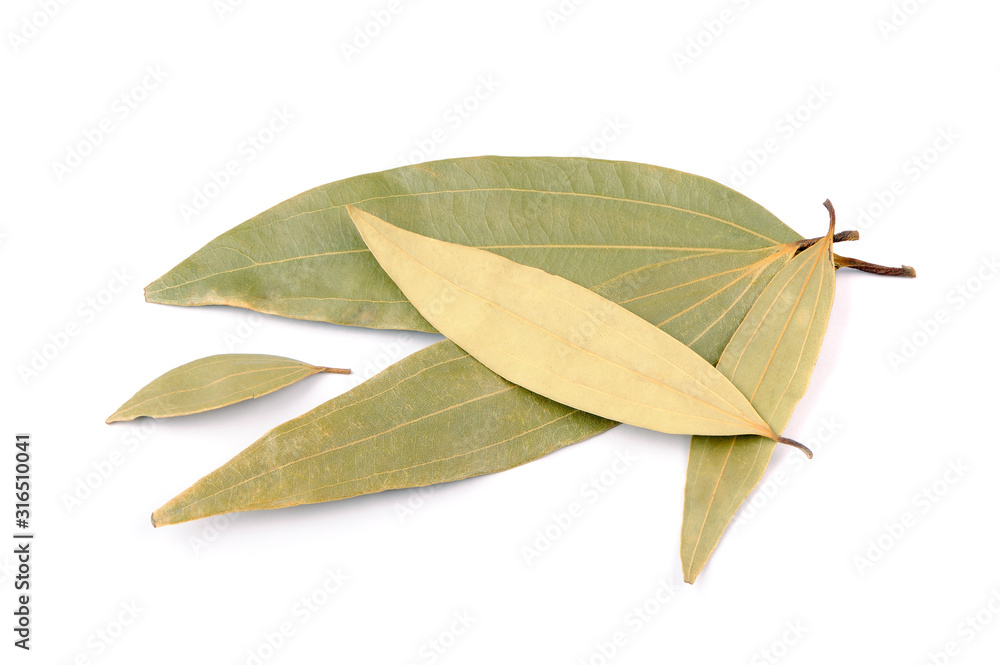 Dried Cinnamomum Tamala (Indian Bay Leaf) Leaves Isolated on White Background Dried Cinnamomum Tamala (Indian Bay Leaf) Leaves Isolated on White Background