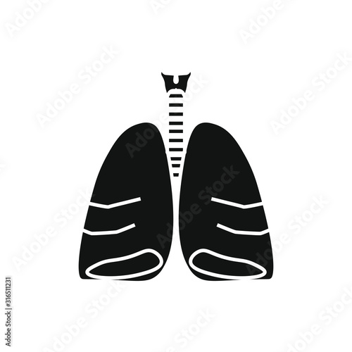 vector icon anatomy of lungs and trachea