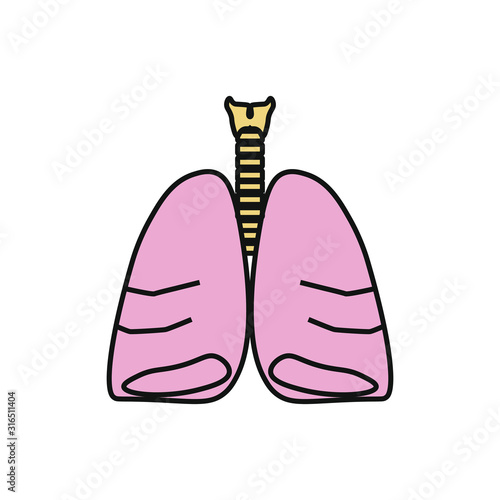 vector icon anatomy of lungs and trachea