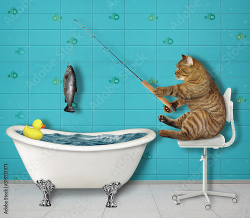 The beige cat fisher is sitting on a office chair and fishing in the bathtub in the bathroom. White background. Isolated. photo