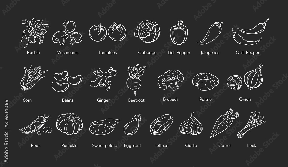 Hand drawn vegetable set vector illustration. White line contour doodle vegetables, eggplant and garlic, corn and mushroom doodle icon with label on white background for restaurant menu retro design