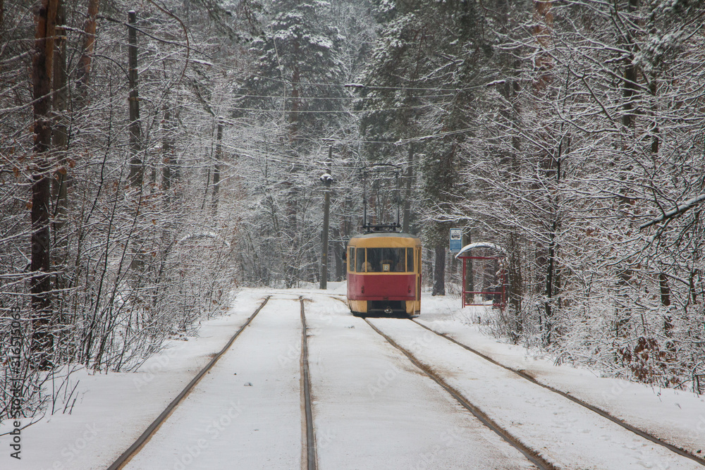 Tram number 12 on the route in a snow-covered forest in Kyiv. Ukraine