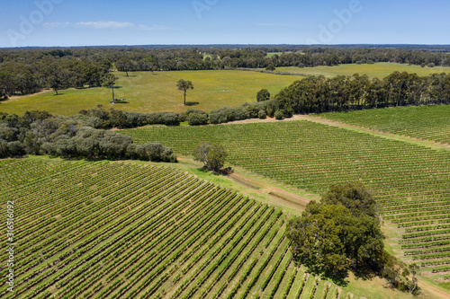 Aerial view of a typical vineyard in the Margaret River region of Western Australia  south of Perth