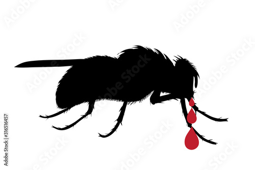 Vector silhouette of fly with drop of blood on white background. Symbol of stop tsetse disease.