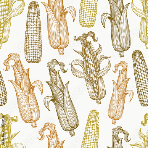 Vector seamless pattern with corn on the cob with leaves. Vintage engraved illustration. Botanical hand drawn background.