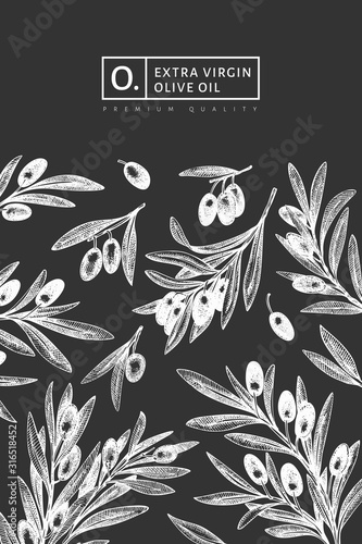 Olive branch design template. Hand drawn vector food illustration on chalk board. Engraved style mediterranean plant. Retro botanical picture.