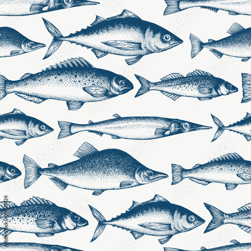 Fish seamless pattern. Hand drawn vector fishes illustration. Engraved style. Vintage different kinds of fish background. photo