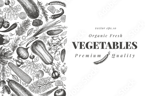 Vegetables hand drawn vector illustration. Retro engraved style banner. Can be use for menu, label, packaging, farm market products.