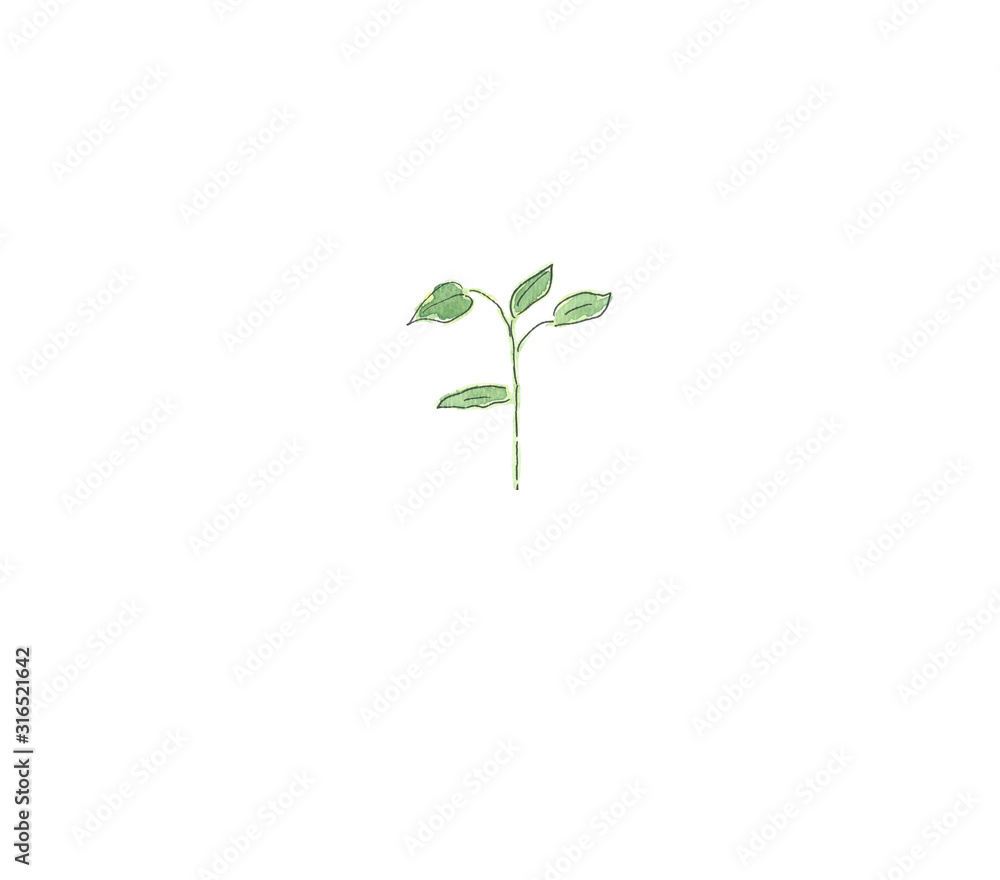Small plant with green leaves. Hand drawing watercolor sketch. Black outline on white background. Colorful illustration. Picture can be used in greeting cards, posters, flyers, banners, logo, further Small plant with green leaves. Hand drawing watercolor sketch. Black outline on white background. Colorful illustration. Picture can be used in greeting cards, posters, flyers, banners, logo, further
