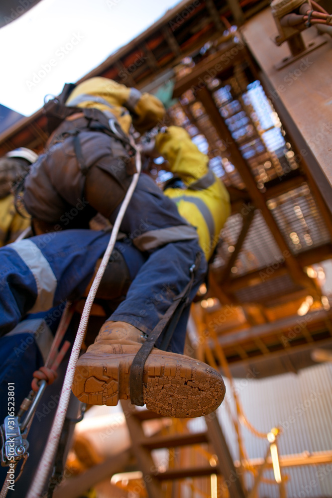 Safety workplaces tree climber standing holding light green rope wearing ear muffs noise hearing protection while partner using chain saw attached onto yellow head safety helmet 