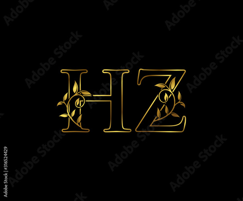 Golden H, Z and HZ Luxury Letter Logo Icon 