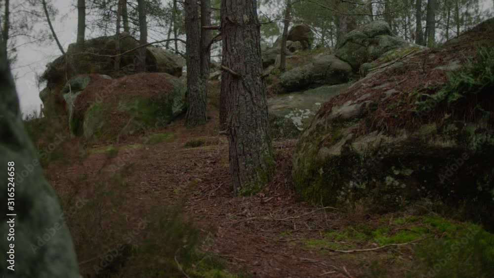 POV Walking In Between Rock Features In Forest At Fontainebleau, France
POV Walking In Between Rock Features In Forest At Fontainebleau, France