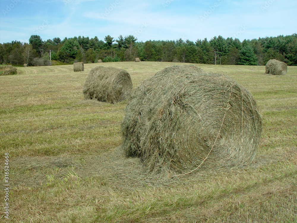 A field of big hay bales in Vermont
