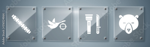 Set Bear head, Flashlight and knife, Hunt on duck with crosshairs and Hunting cartridge belt with cartridges. Square glass panels. Vector