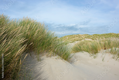 France. Picardie. Somme. Fort-Mahon. dunes de sable avec de la v  g  tation pr  s d une plage pur stabiliser l   rosion due au vent.  sand dunes with vegetation near a pure beach stabilize wind erosion.