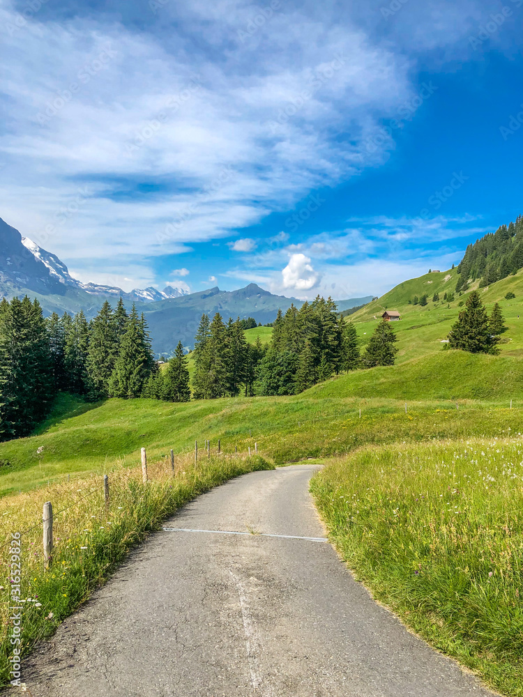 Vertical view of Swiss Alps in Grindelwald, a road through the mountains, Switzerland