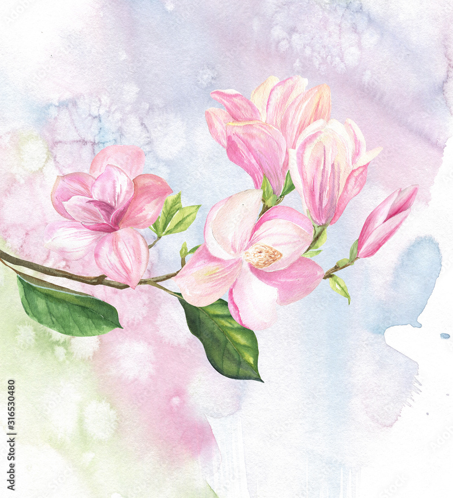 isolated image of a Magnolia branch on a background of watercolor spots
