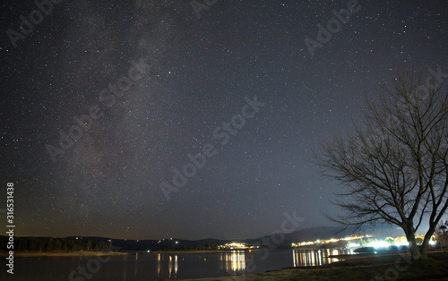 Milky way arcing over a leafless tree on the shore of Lake Jindabyne © Adam