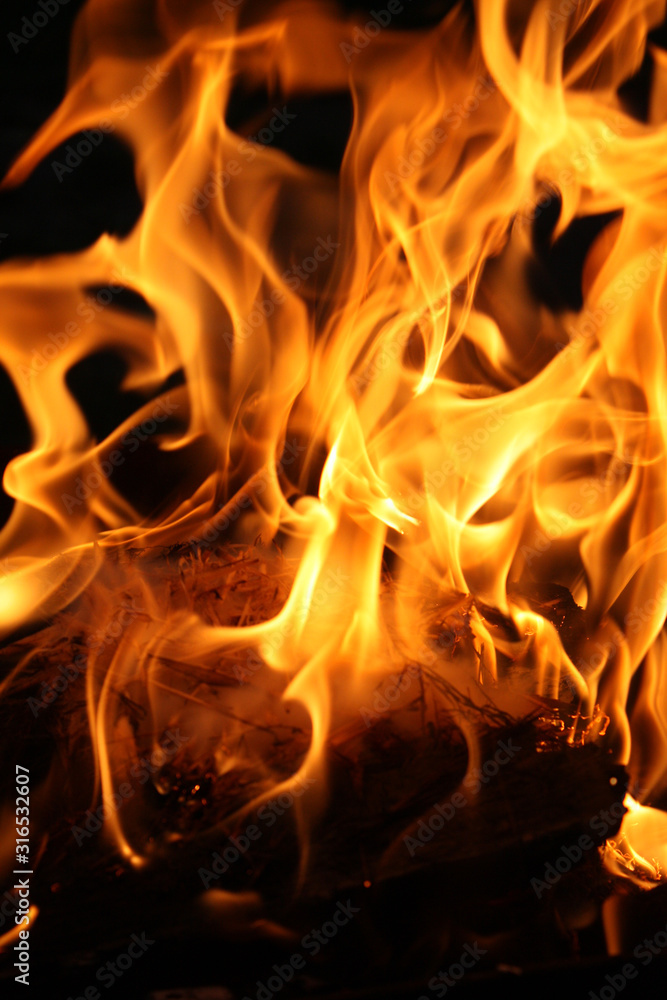 Fire burning firewood. Fire background.