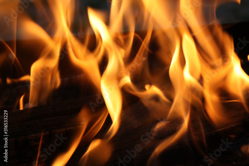 Obraz na płótnie Fire burning firewood. Fire background. w salonie