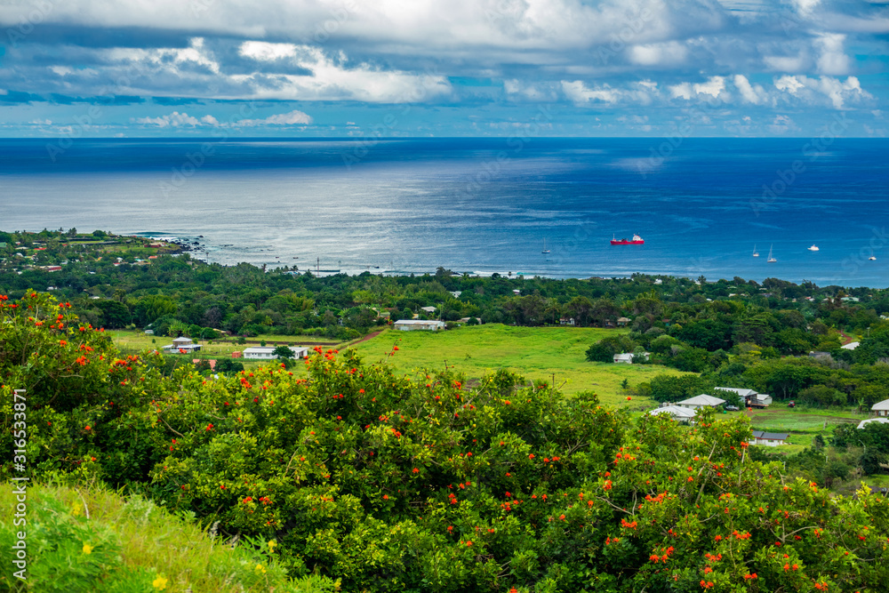 Top view of bright green Rapa Nui coastline