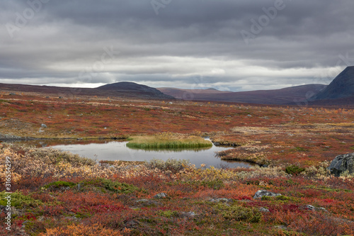 autumn view of Sarek National Park  Lapland  Norrbotten County  Sweden  near border of Finland  Sweden and Norway. selective focus