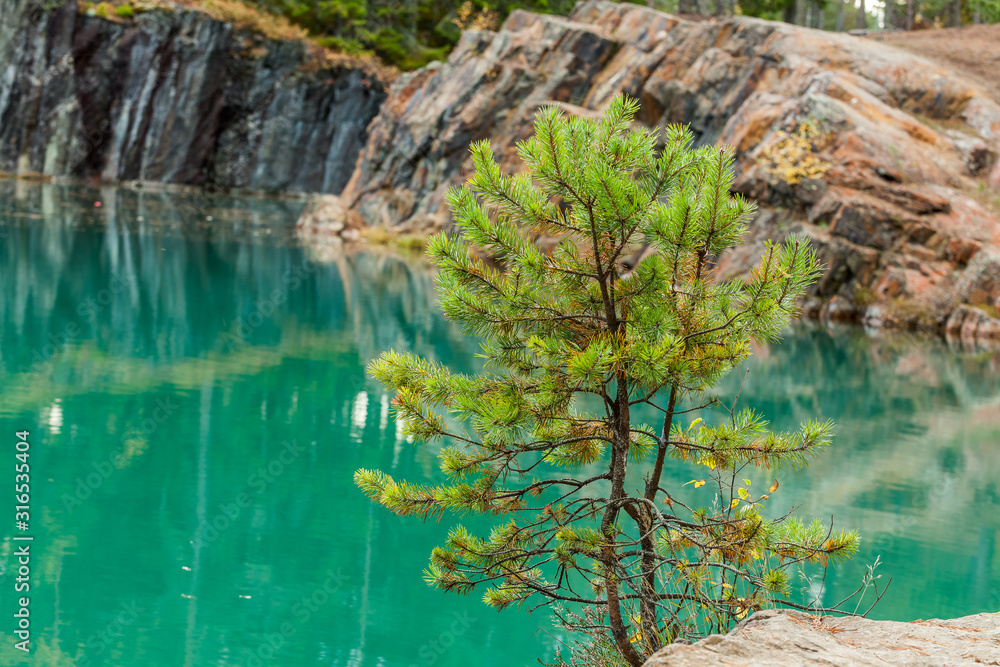 Fototapeta premium Old abandoned silver mine with blue, emerald water on a sunny evening with a pine in the foreground. silverberg in Sweden. selective focus