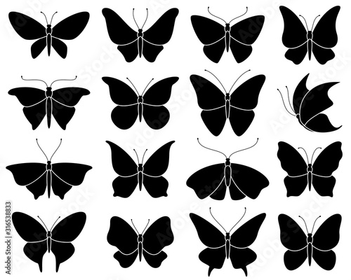 Butterfly silhouettes. Black stencil insect pattern, stylized spring symbol. Wedding decor elements, tattoo wing shapes vector set