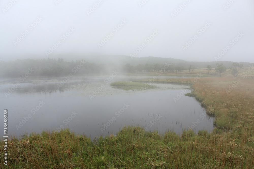霧の知床五湖　 世界自然遺産　北海道
