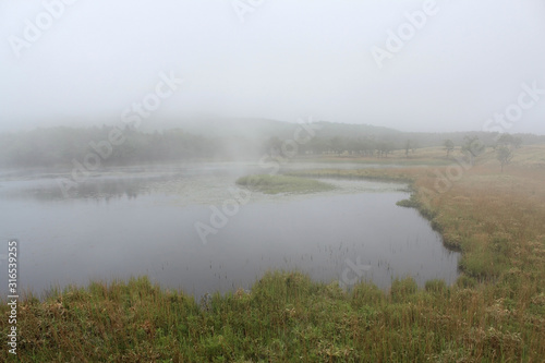 霧の知床五湖 世界自然遺産 北海道