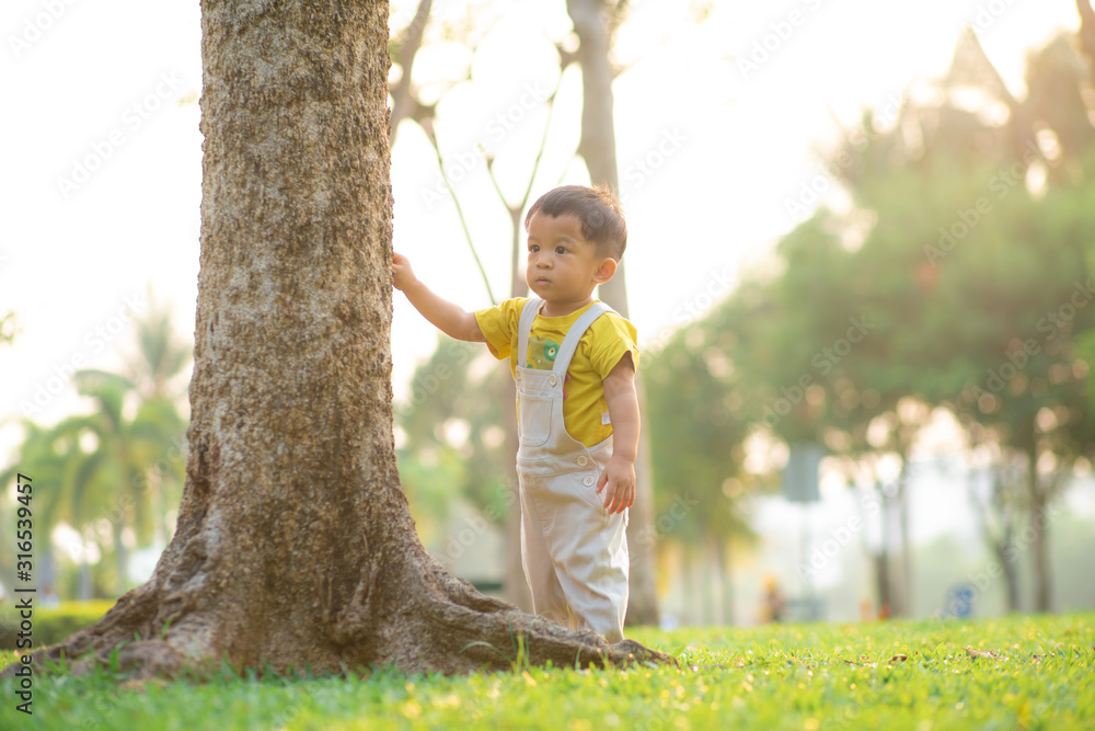 Toddler baby boy practice to walking in city park evening sunset tree green grass - obrazy, fototapety, plakaty 