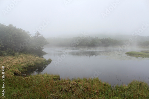 霧の知床五湖 世界自然遺産 北海道