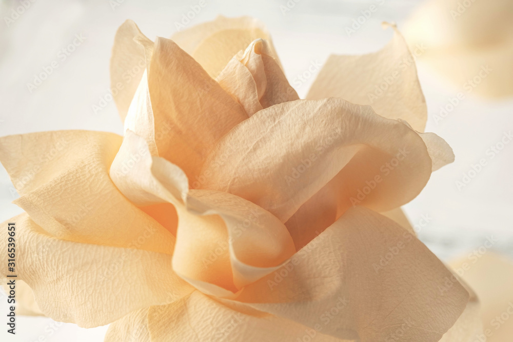 beige rose flower, close-up, macro, background - obrazy, fototapety, plakaty 
