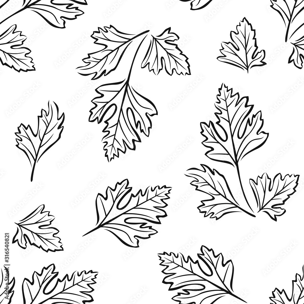 Fototapeta premium Parsley black and white seamless pattern. Seasoning, spice, herb outline image. Botanical background.