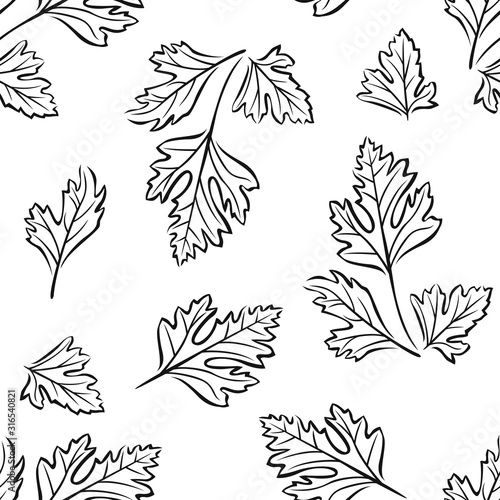 Parsley black and white seamless pattern. Seasoning, spice, herb outline image. Botanical background.