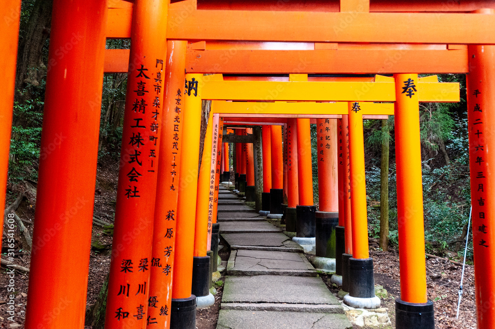 Impression of the many Torii of the Fushimi Inari Shrine in Kyoto, Japan.