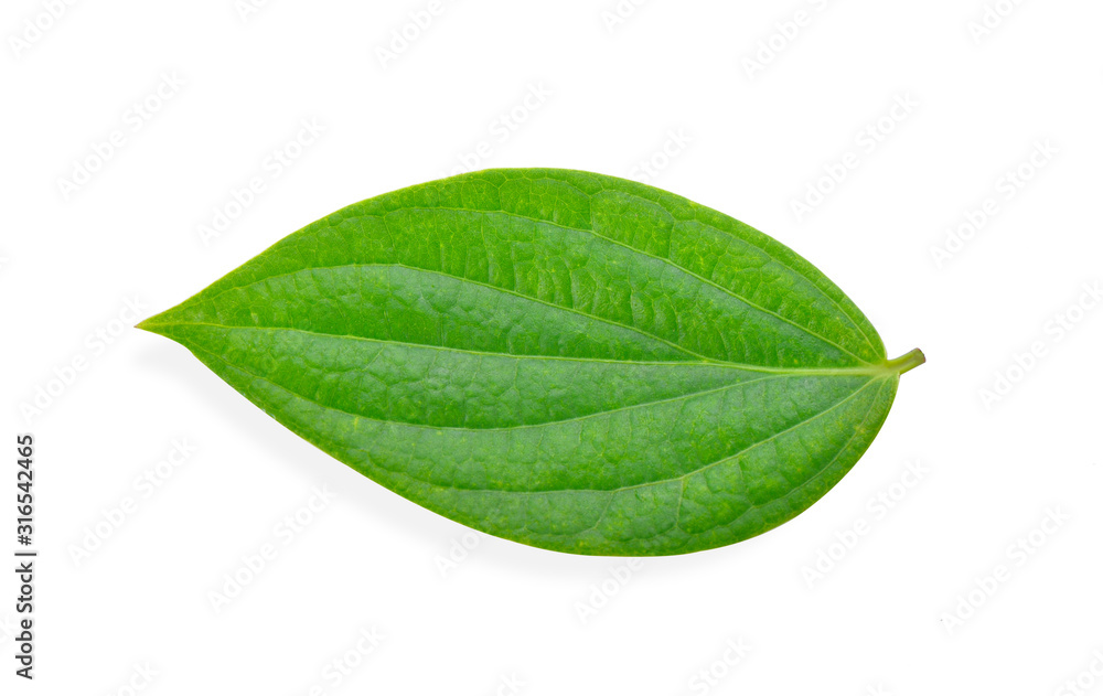 Obraz premium pepper corn leaf on white background
