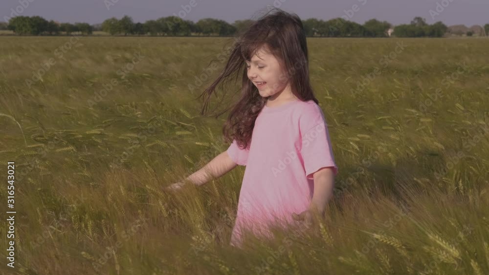 Vacation in rye country field. Vacation in rye country field.