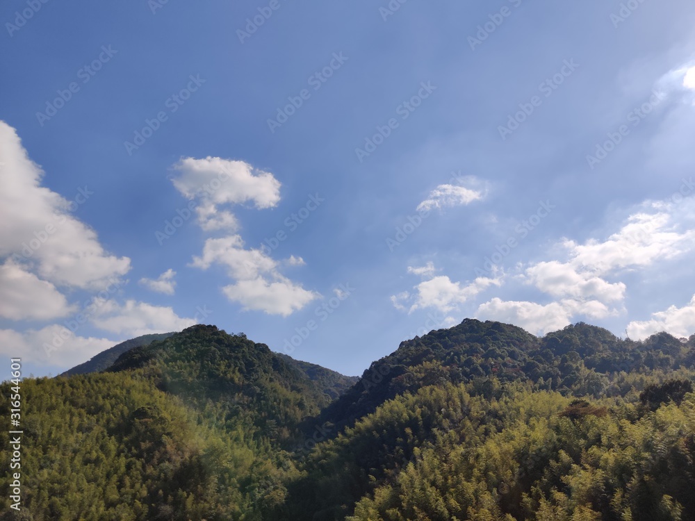 Landscape photo of blue sky with green forest